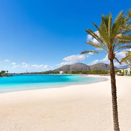 Villa Paraiso By Mallorca Selection Alcudia (Mallorca)